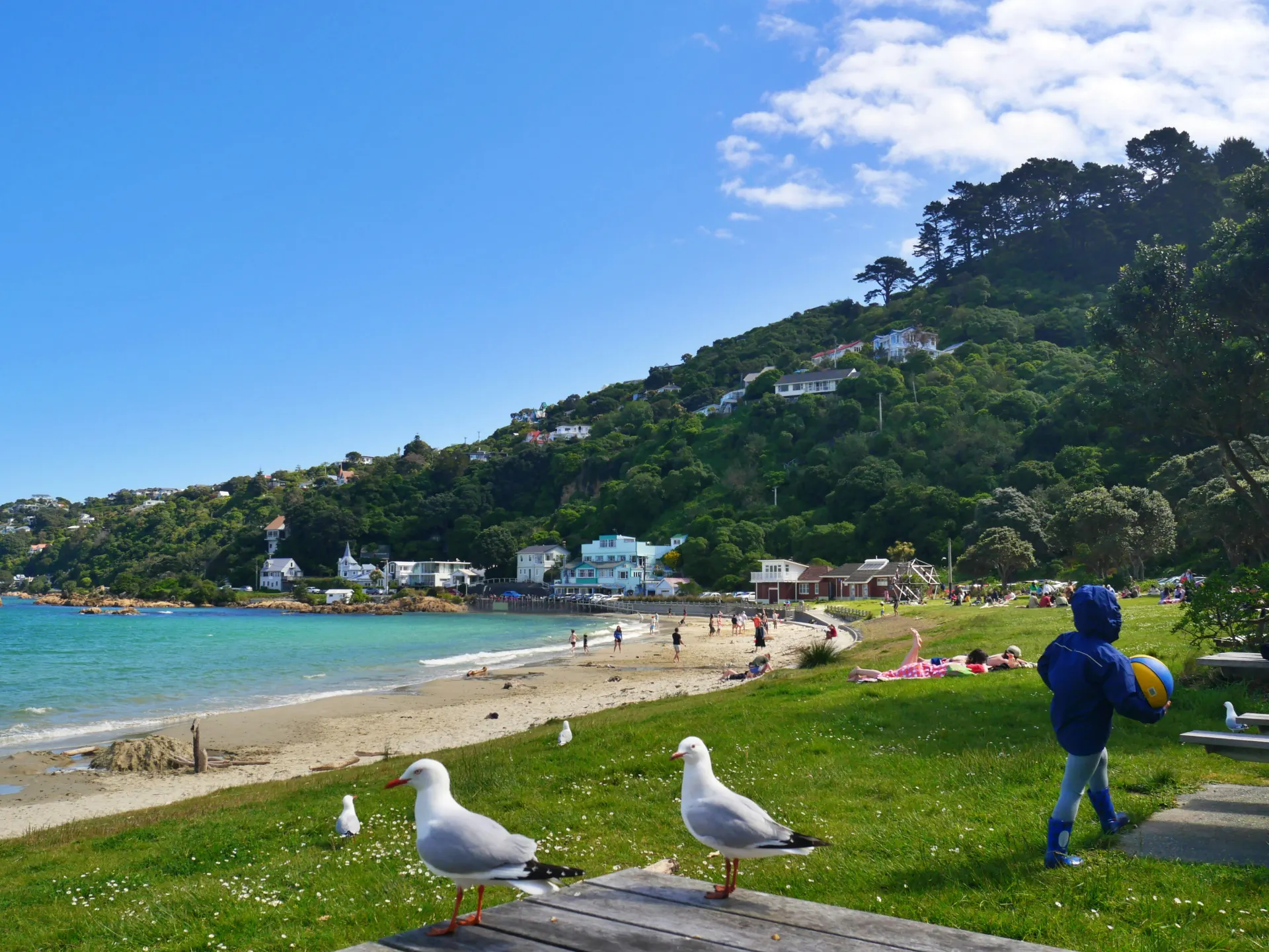 Families enjoying a sunny beach beside a green hillside in New Zealand